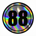Custom Holographic Racing Number Stickers for Cars (Set of 2) - Dual Circle RCC003