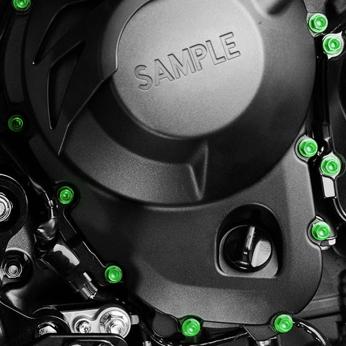 Installation of Honda CB600F Hornet 2007-2008 CNC Crankcase Cover Bolt Kit