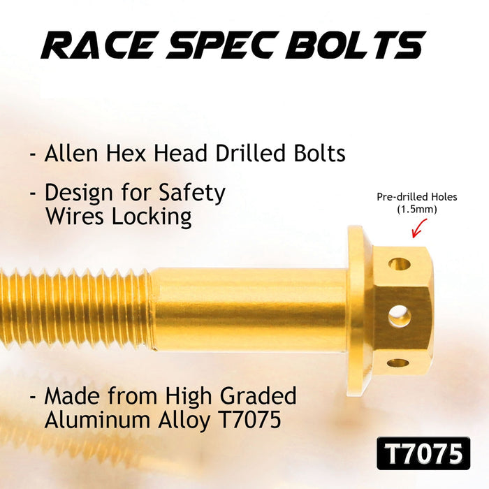 Details of Honda CBR600RR 2003-2004 CNC Crankcase Cover Bolt Kit