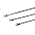 Mixed TT200SS CABLE TIES & MOUNTS  Stainless Steel Pack of 100