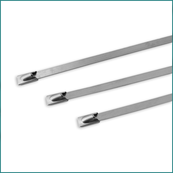 Mixed TT200SS CABLE TIES & MOUNTS  Stainless Steel Pack of 100