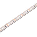 Saxby 118824 Orion67 48V | 3000K 7.2W/M 35M IP67