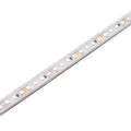 Saxby 118825 Orion67 48V | 4000K 7.2W/M 35M IP67