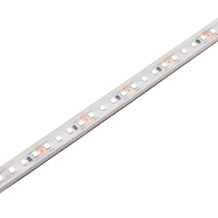 Saxby 118825 Orion67 48V | 4000K 7.2W/M 35M IP67