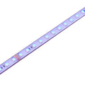 Saxby 120343 OrionRGBW 48V | 4000K 11.5W/M 30M IP67